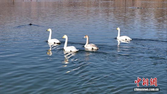 wc930x592_7738a6e4cef84c0aa560906c97a0ef8e