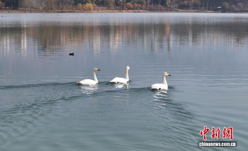 wc930x592_681524eb7f0f488fb8d40825b8e16b8b