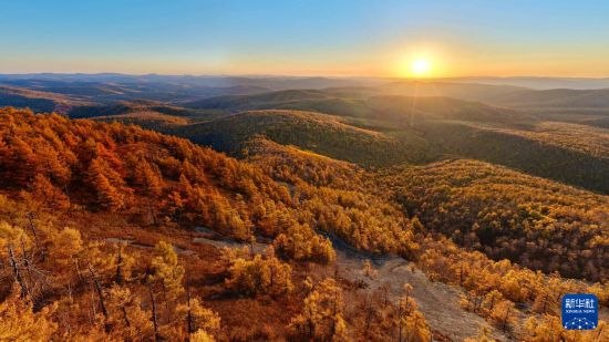 13309498675563506798