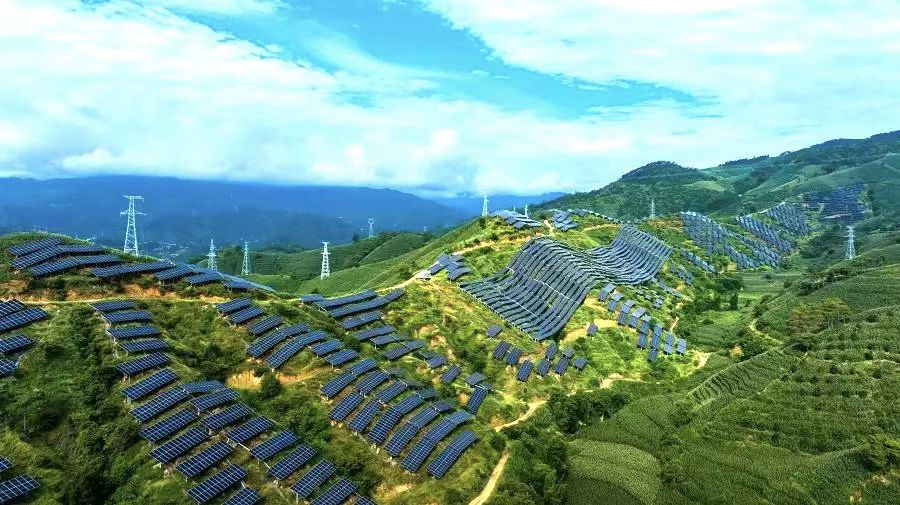 1764554870506010.jpg 35.jpg