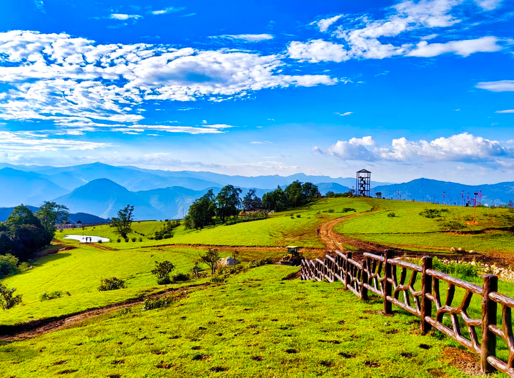 1764554899136876.jpg 33.jpg