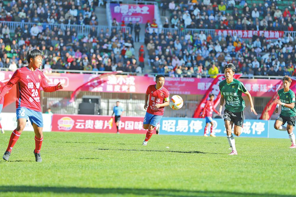 企业微信截图_17650751649506