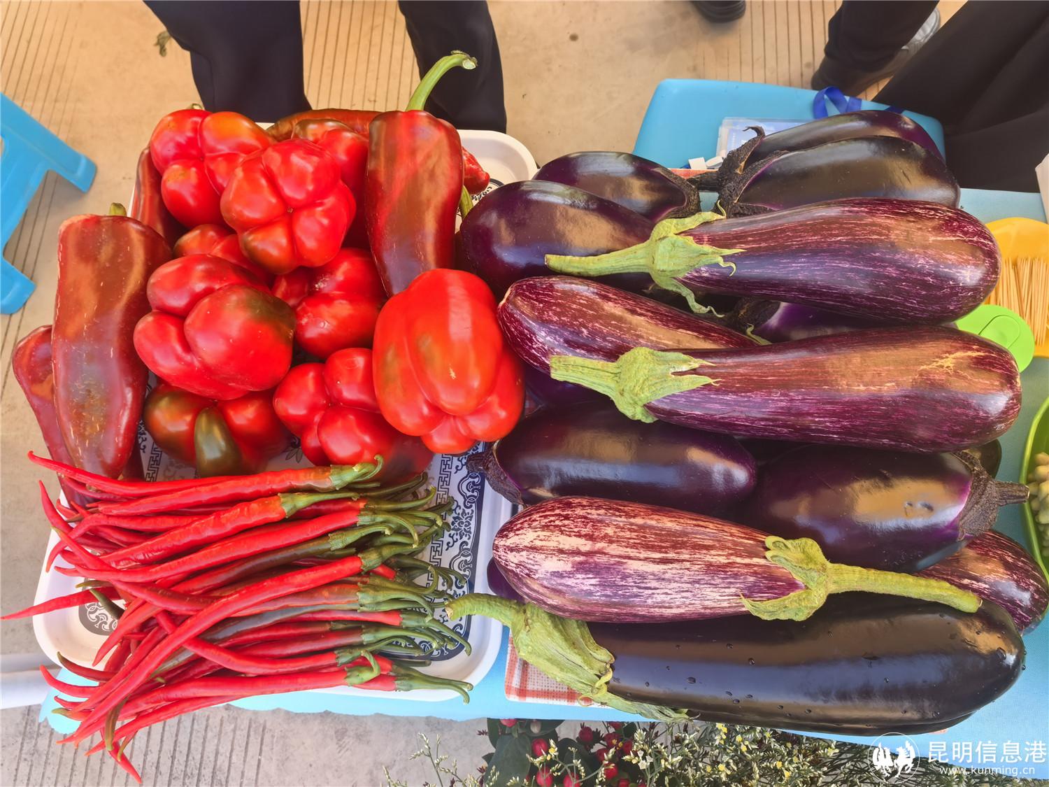 特色蔬菜 元谋县融媒体中心 杨格 摄