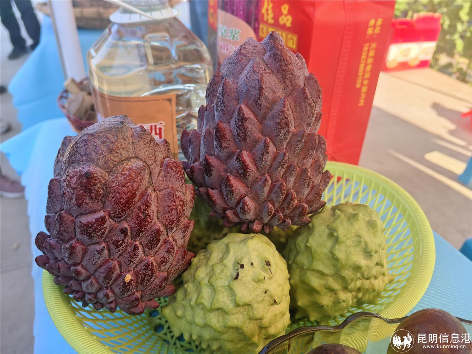 凤梨释迦 元谋县融媒体中心 杨格 摄