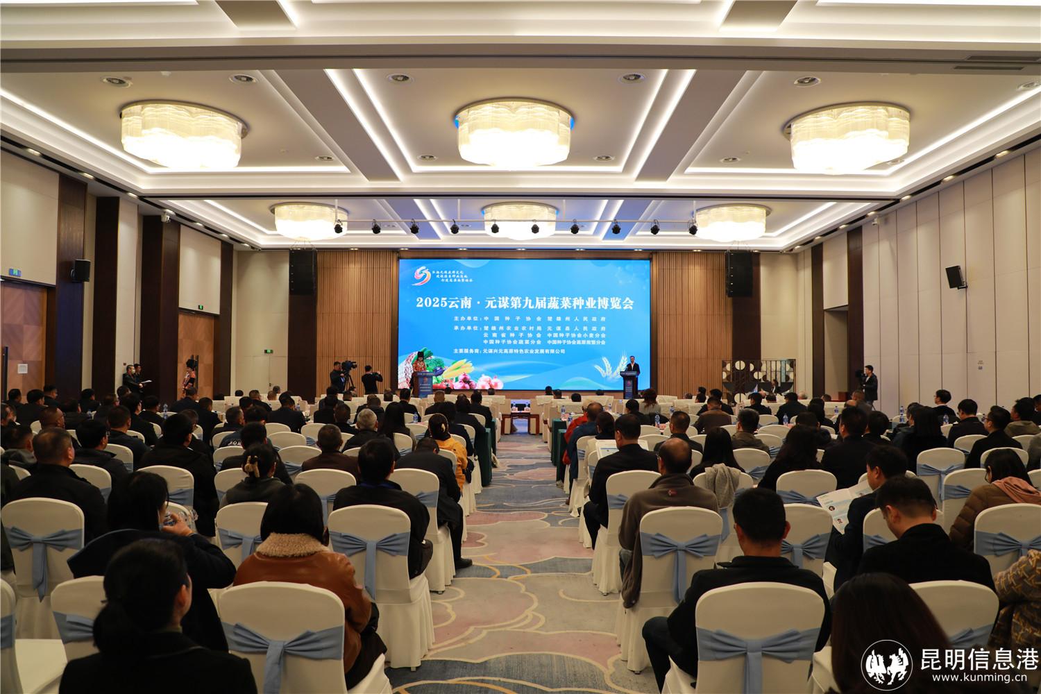 开幕式元谋县融媒体中心 钱星宇 摄 