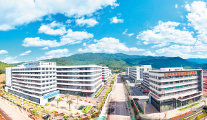 71941765301424416 71941765301424416