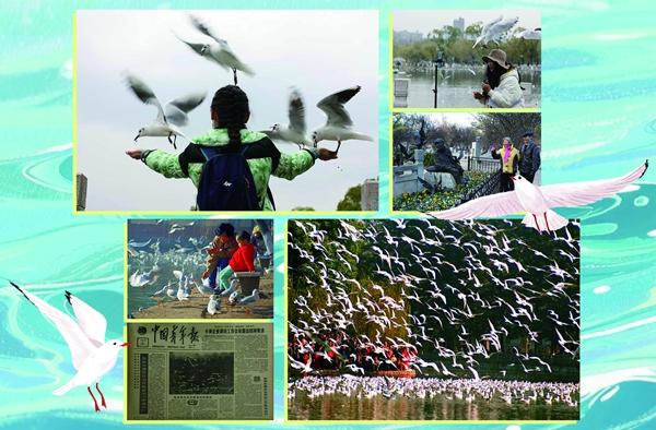 5cfcd3a3-6bea-4aaf-9c9d-ea70cc6631ee