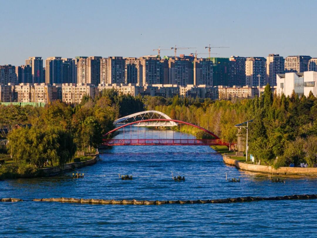 ZMI 2024 宝丰湿地 周密摄_2.jpg