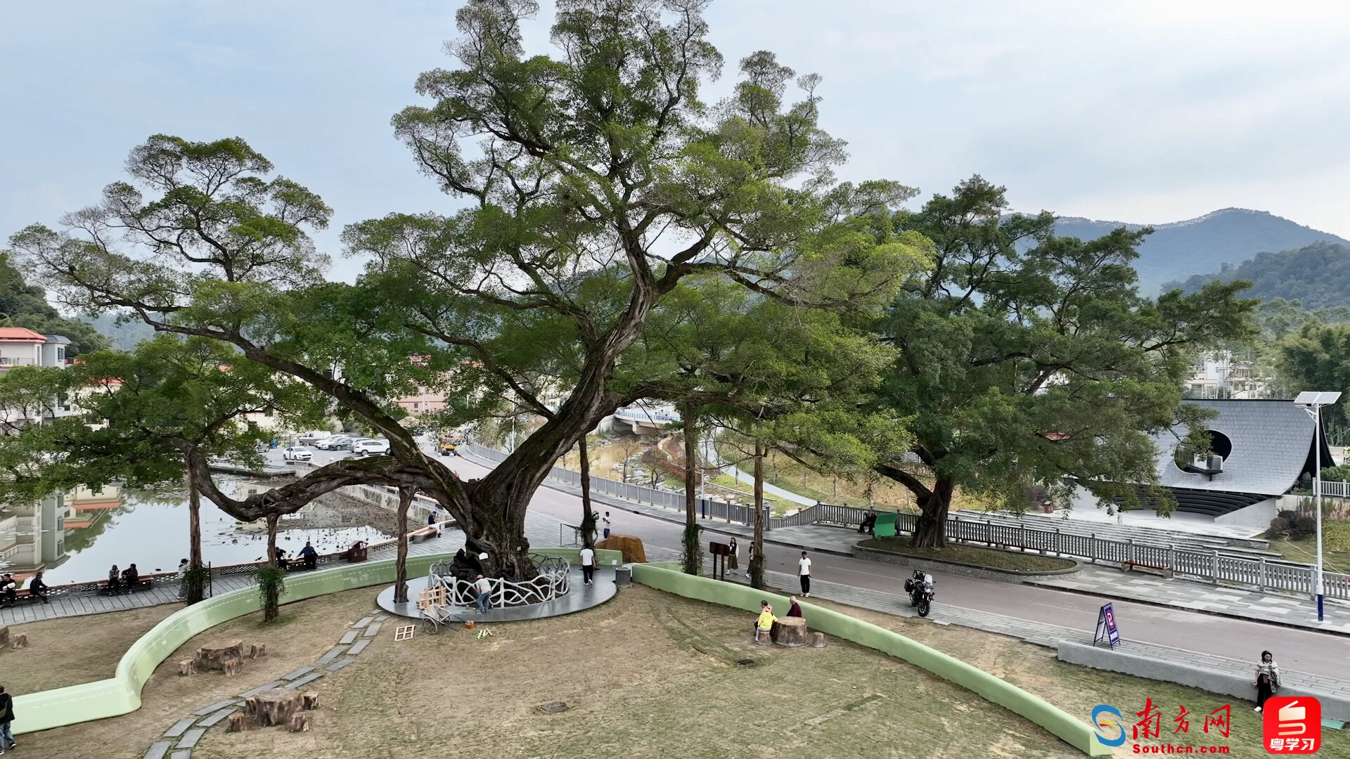 千年古榕文学村