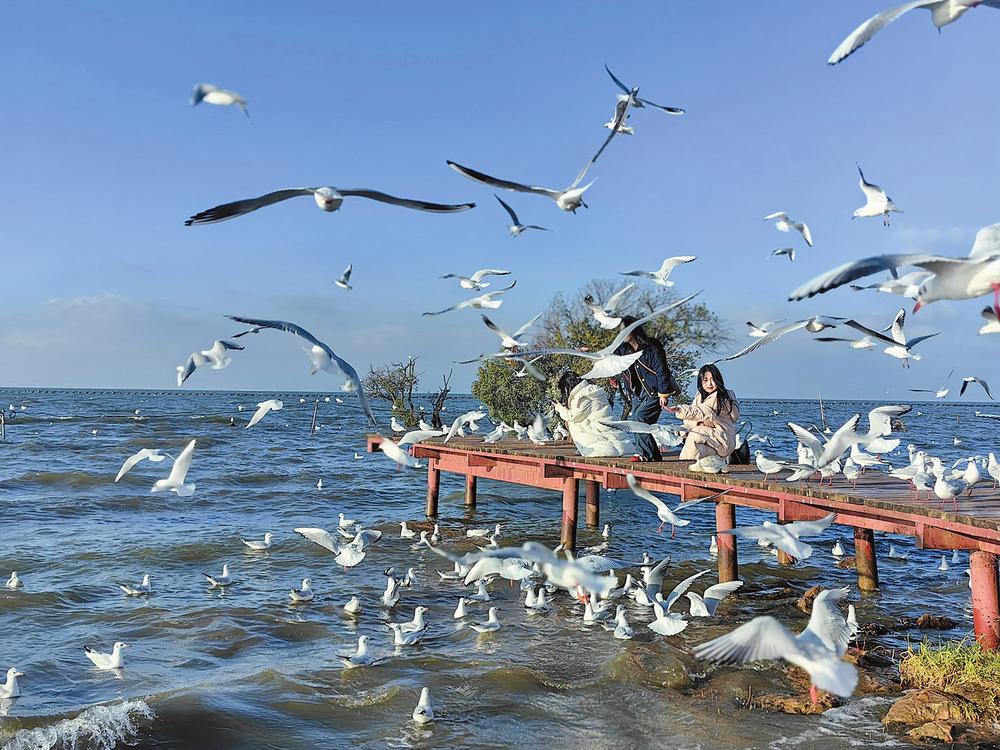 78d6e719-f48e-431e-85d8-b01770ac64e8