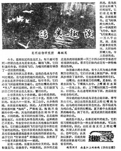 21ee32c2-b609-4998-8051-3edced122f3e