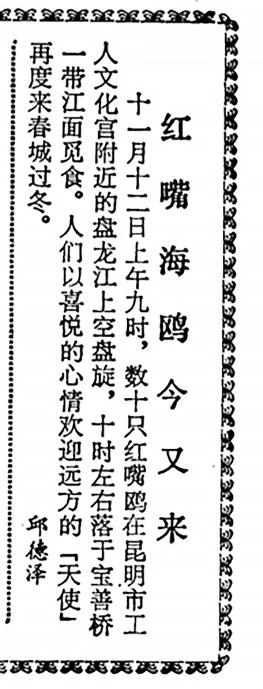 527a4cec-e5ce-49b0-b945-512c3239c2fd