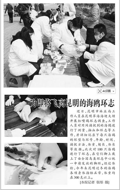 fbce39af-a440-4850-bbd9-474ca14872c7