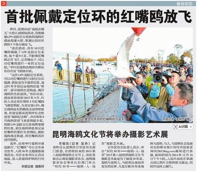 b1bee77b-e518-4f7c-b02b-6a3c9757f581