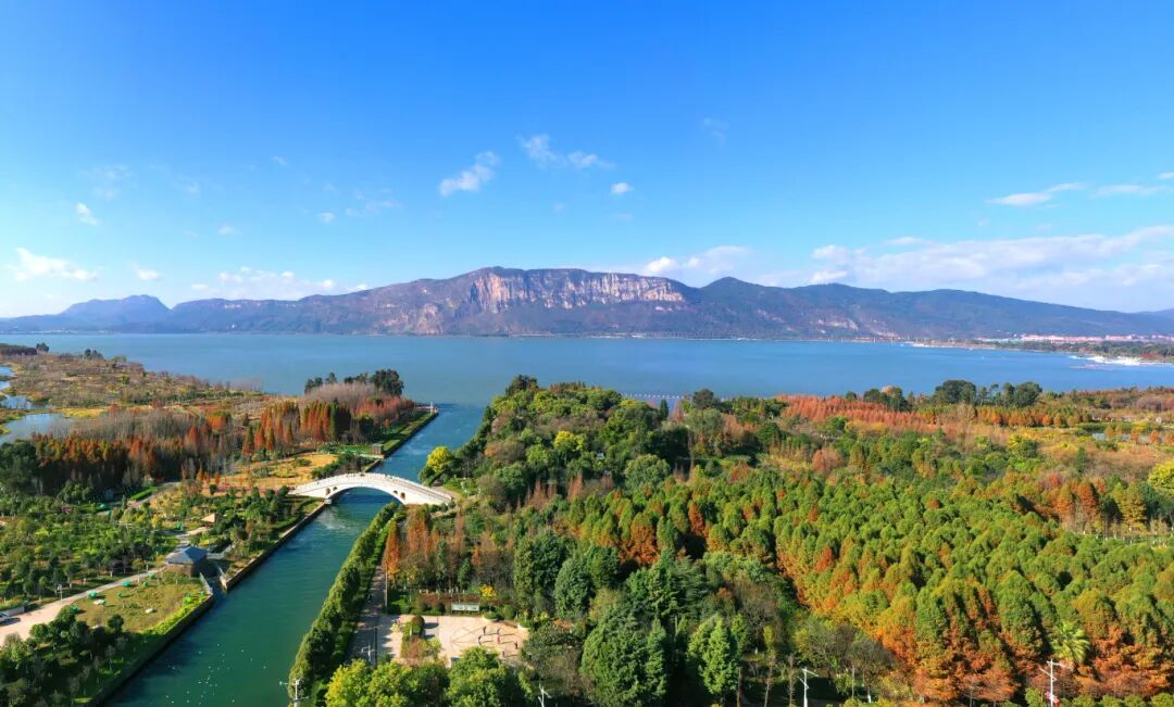 星海湿地周密摄 (3).jpg