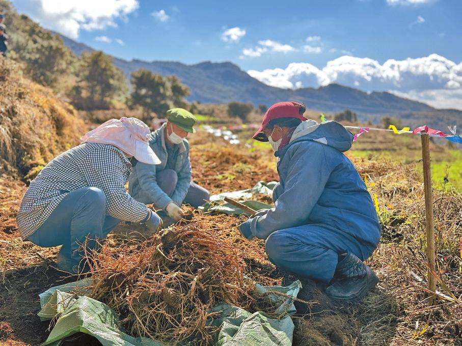 微信图片_20260113091322_539_195