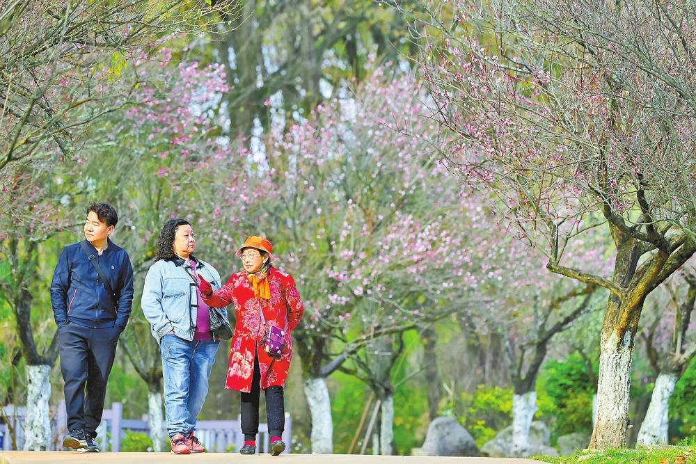 微信图片_20260114082103_542_195