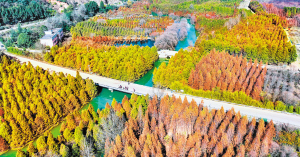 4891768412057873 4891768412057873