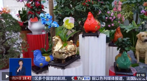 ScreenShot_2026-01-25_152058_710