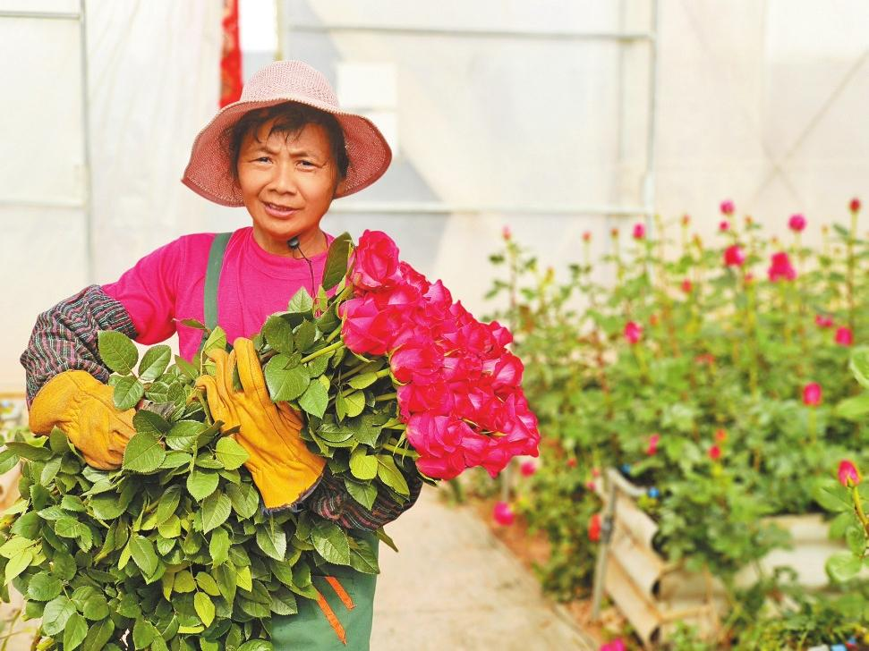 微信图片_20260210082938_523_251