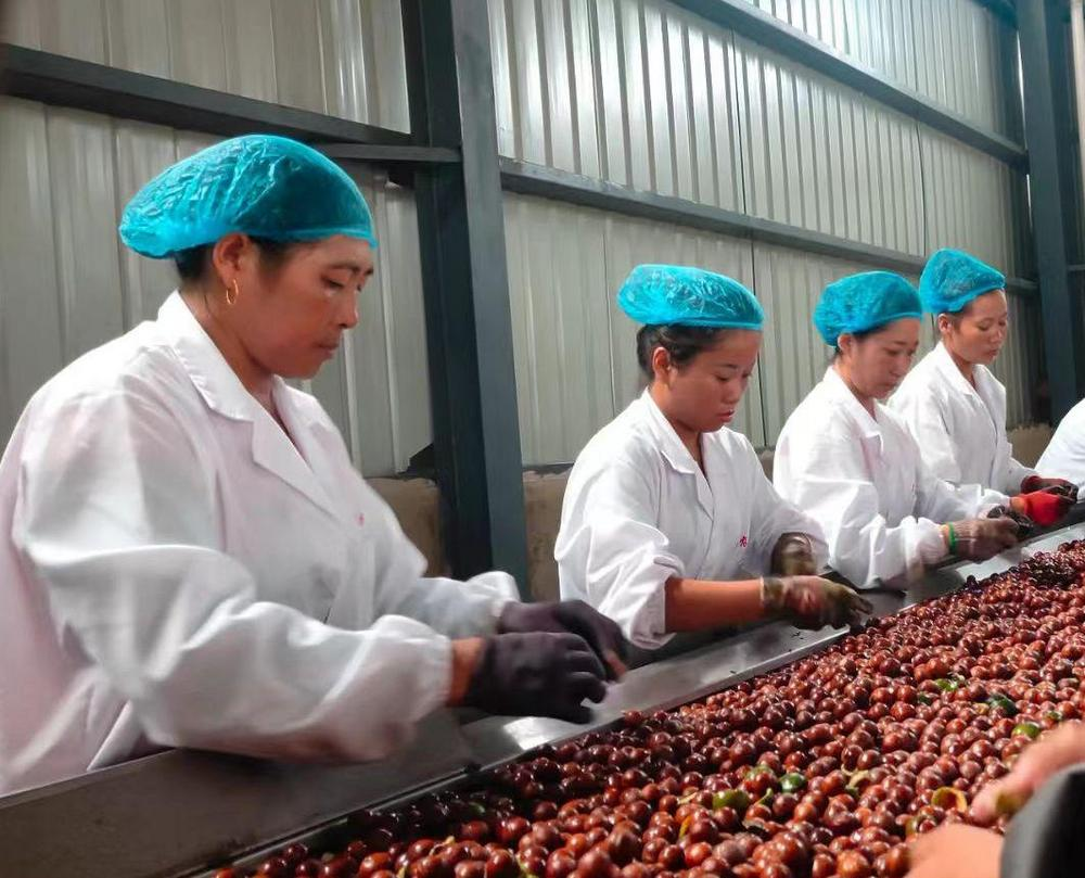 微信图片_20260210083420_526_251