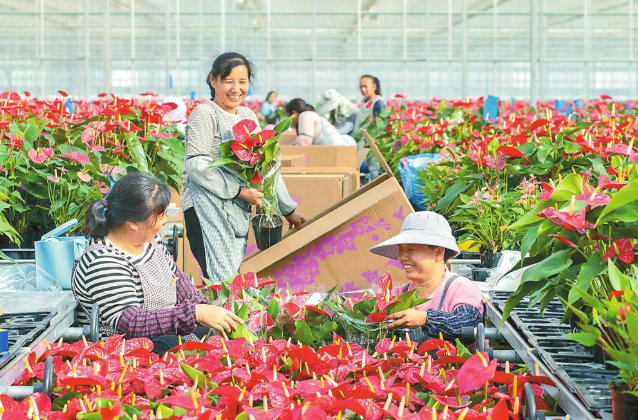 0073ayEwgy1ia55sti9z7j30hq0boadb