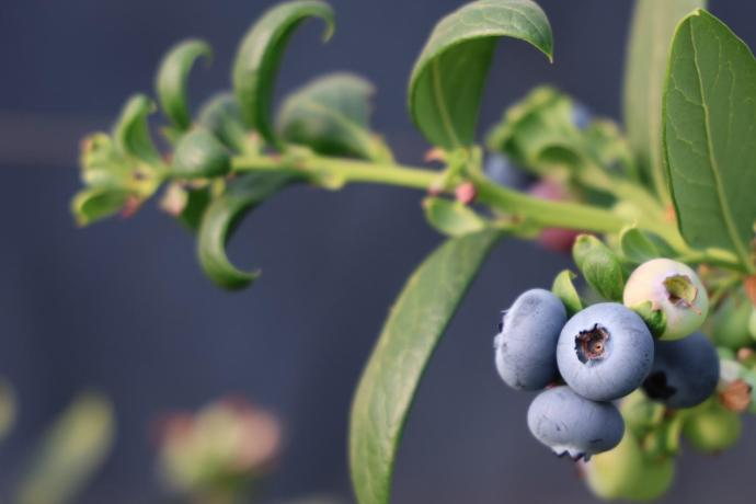 微信图片_20260212081706_540_251