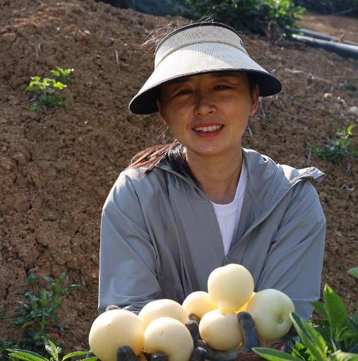 微信图片_20260212081709_541_251