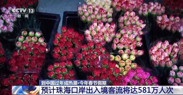 视频丨到中国过年成热潮 外国旅客:聚在一起庆祝春节真是太好了!