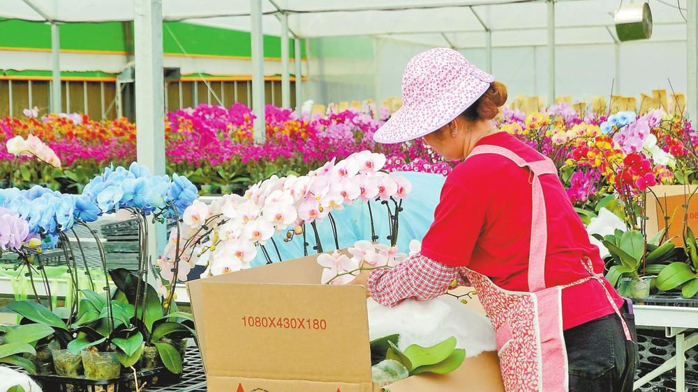 微信图片_20260214081910_174_158