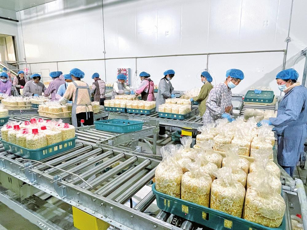 微信图片_20260217101306_30_42