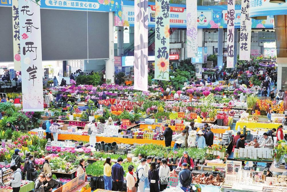 微信图片_20260217102146_32_42