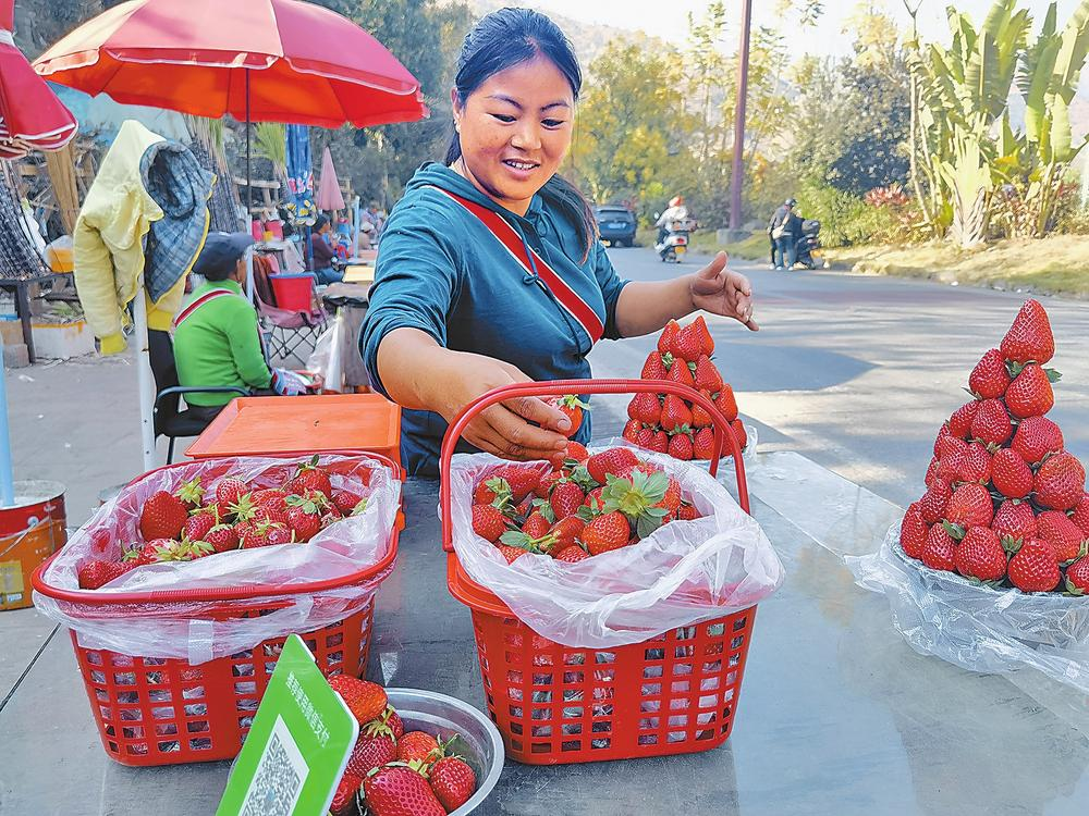 微信图片_20260218085204_45_42