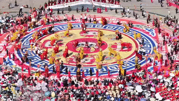 2026021905f9fe94f266469ba8098a20adedc7f3_105012026021800004771