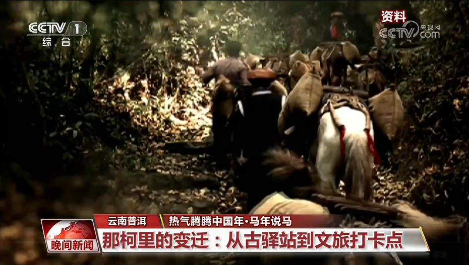 马年说马|从马背到铁轨 茶马古道迎新生