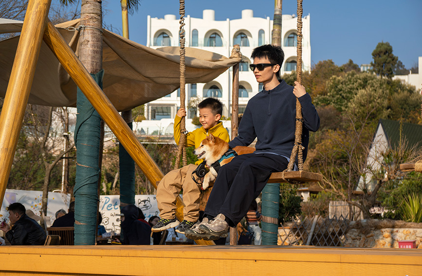 游客在湖畔休闲娱乐。陈超摄