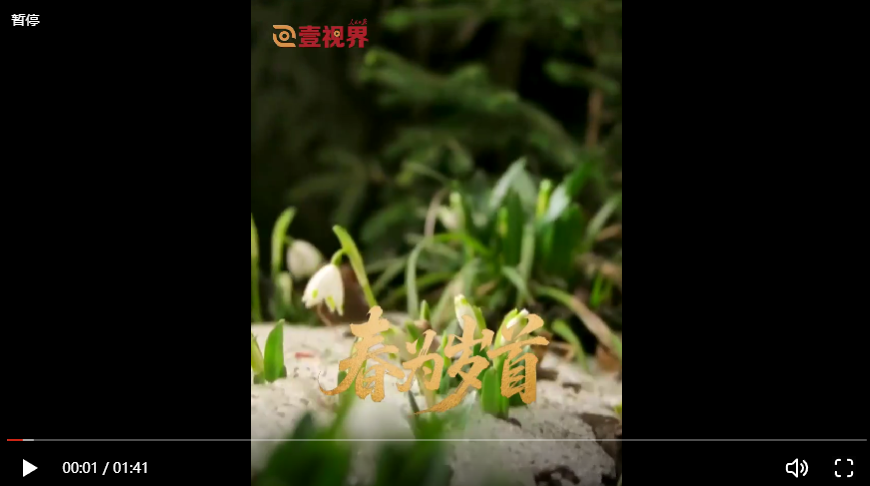 ScreenShot_2026-03-01_090455_651 ScreenShot_2026-03-01_090455_651