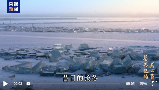 ScreenShot_2026-03-01_143556_753 ScreenShot_2026-03-01_143556_753