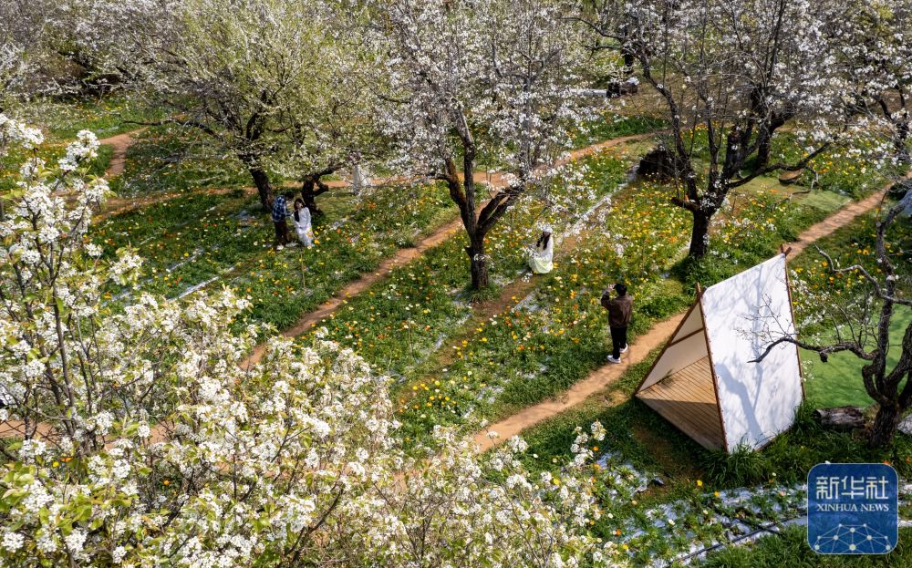 00307786330_6a7d8877