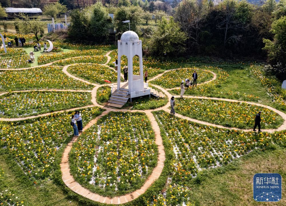 00307786342_a002b8e8