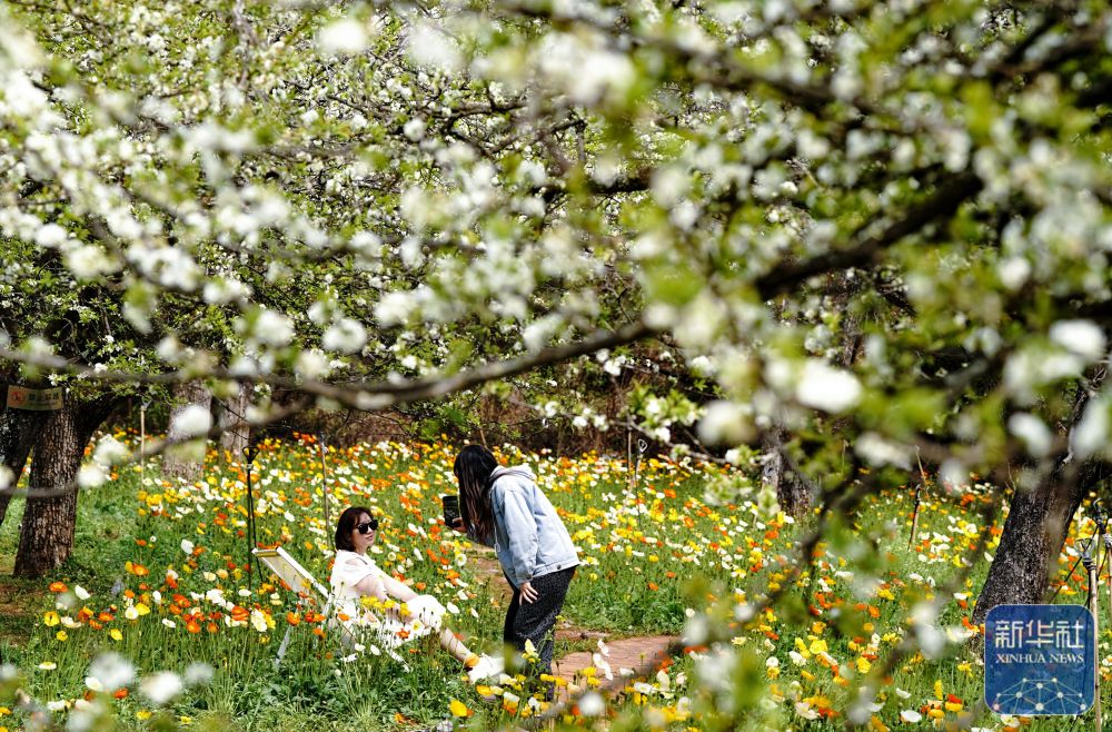 00307786344_abfece65