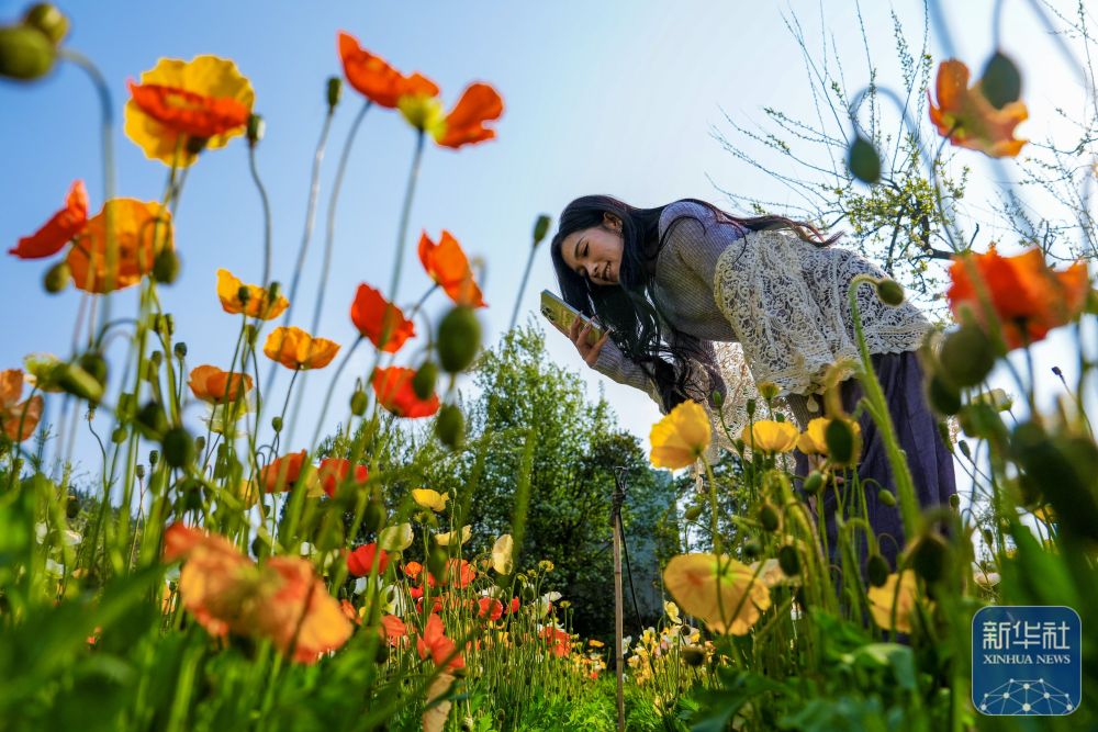 00307786345_ef487a11