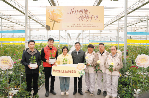 78821773854230897 78821773854230897