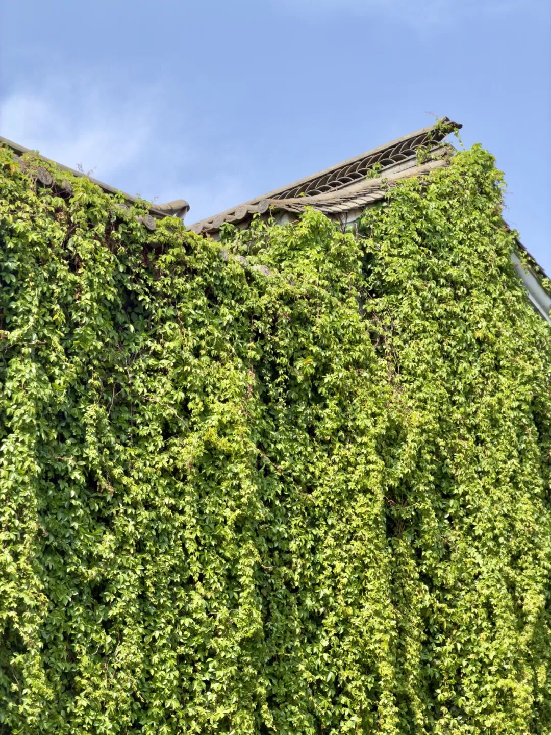 1773891050821_529444_7664b233b8130e050da6a592d65596ac