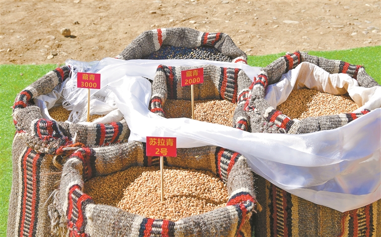 W020260319324869043643