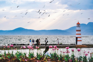 滇池沿岸游人漫步。 新华社 滇池沿岸游人漫步。 新华社