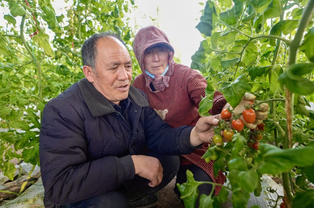 0cca1fb6ee5b401196d5d6e84894a3fb 0cca1fb6ee5b401196d5d6e84894a3fb