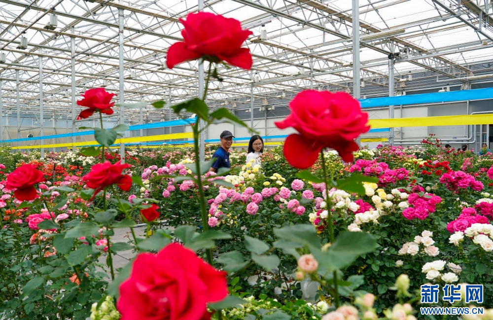 aab8fd08521c4eba8c3e09e9698a83d7 aab8fd08521c4eba8c3e09e9698a83d7