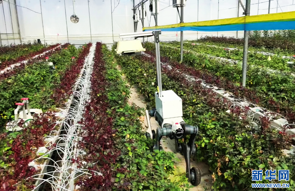 24c85a01dc324b478bc4403d9bc1c553 24c85a01dc324b478bc4403d9bc1c553