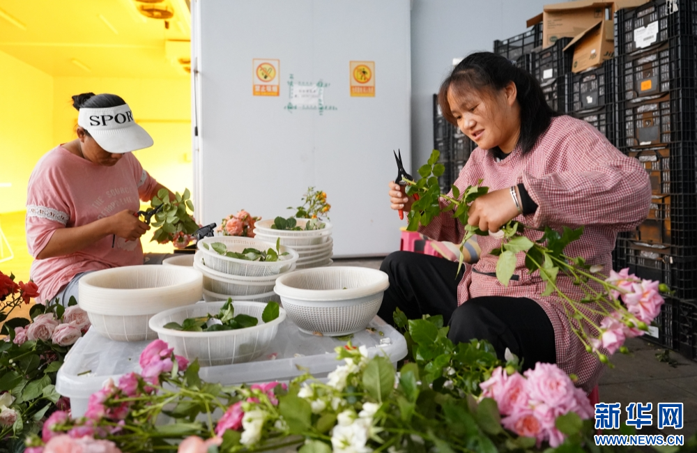 f15aab6db72a4e8ca3200dd7e4043ce5 f15aab6db72a4e8ca3200dd7e4043ce5